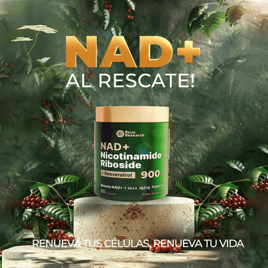 🌟 Nad Nicotinamida + Resveratrol 900 MG